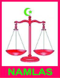 NAMLAS Logo